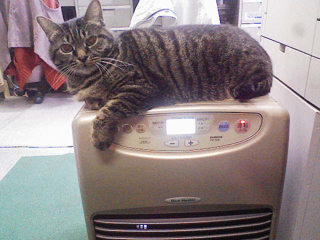 アップロードファイル 2100-1.jpg