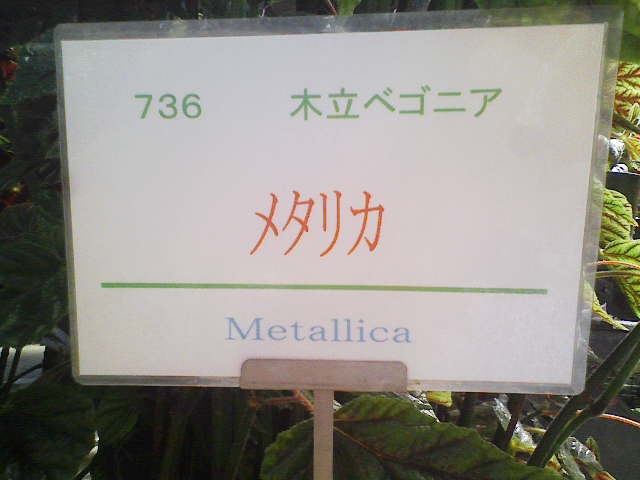 アップロードファイル 2393-1.jpg