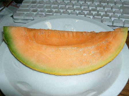 アップロードファイル 505-1.jpg