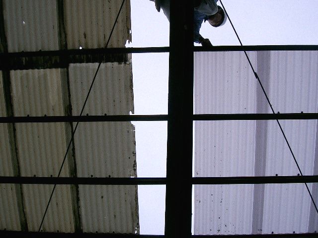 アップロードファイル 555-1.jpg